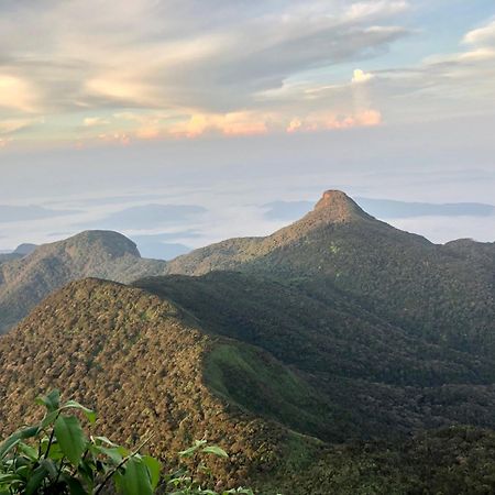 Hotel Mango Tree Nearest Adam'S Peak Nallathanniya Esterno foto