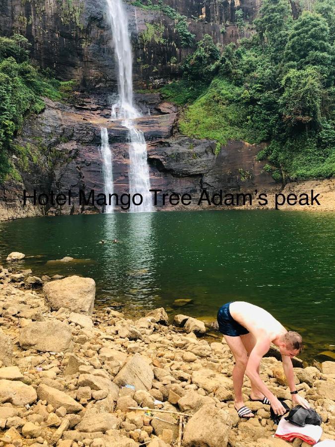 Hotel Mango Tree Nearest Adam'S Peak Nallathanniya Esterno foto