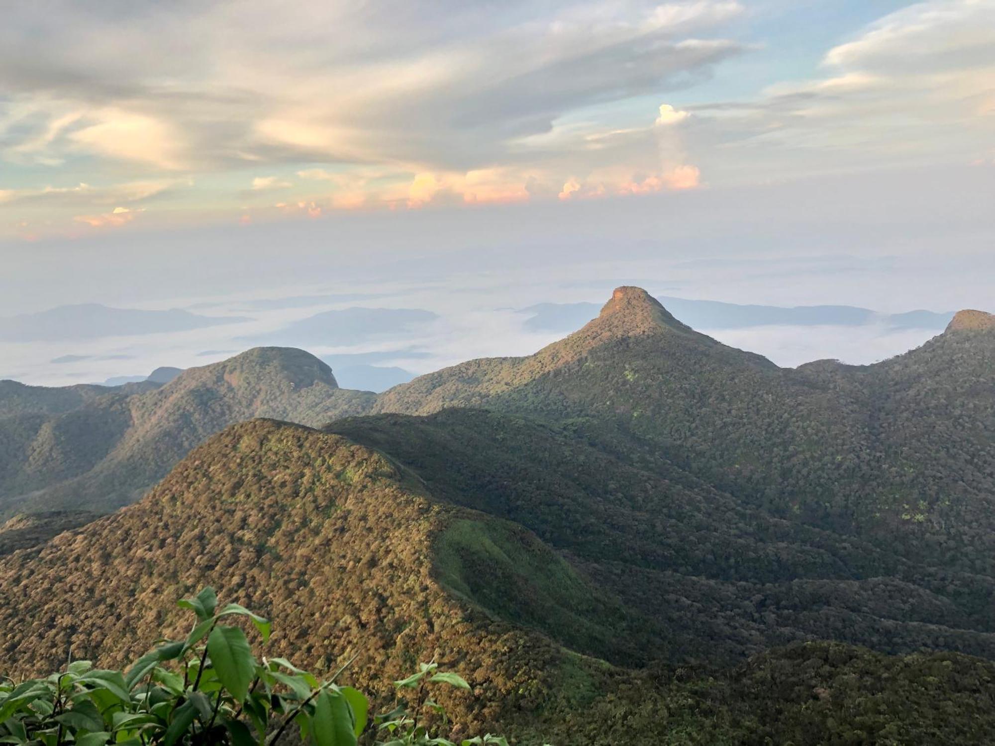 Hotel Mango Tree Nearest Adam'S Peak Nallathanniya Esterno foto