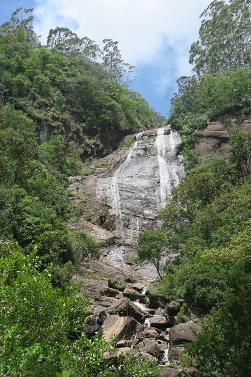 Hotel Mango Tree Nearest Adam'S Peak Nallathanniya Esterno foto